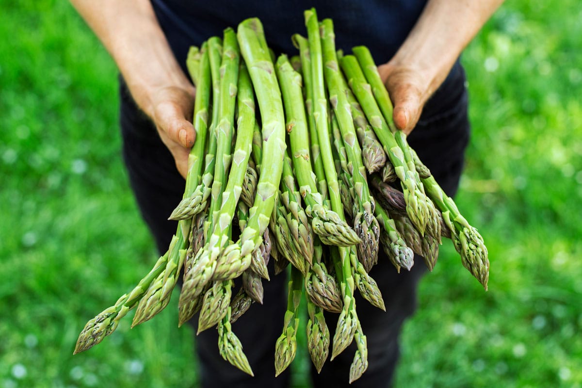 How to Freeze Asparagus: Keep Spears Fresh for a Year